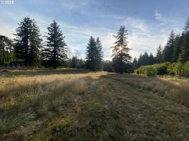 23801 Ne MUNCTON Dr, Yacolt, WA 98675