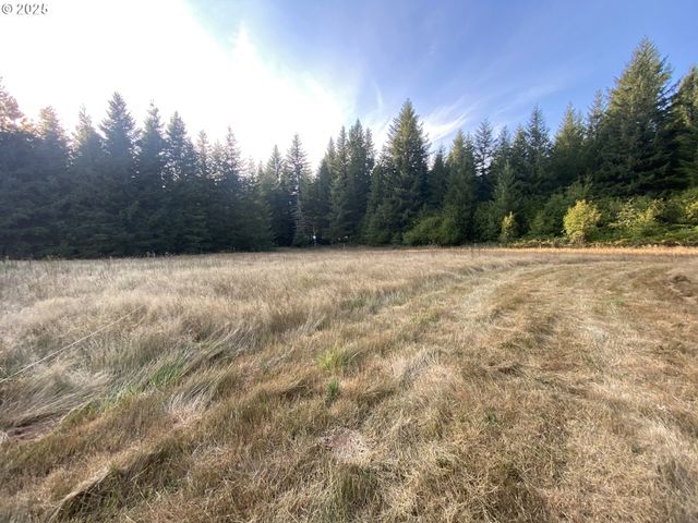 23801 Ne MUNCTON Dr, Yacolt, WA 98675