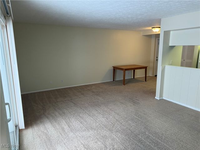 8078 Puritan Drive 58-D, Mentor, OH 44060