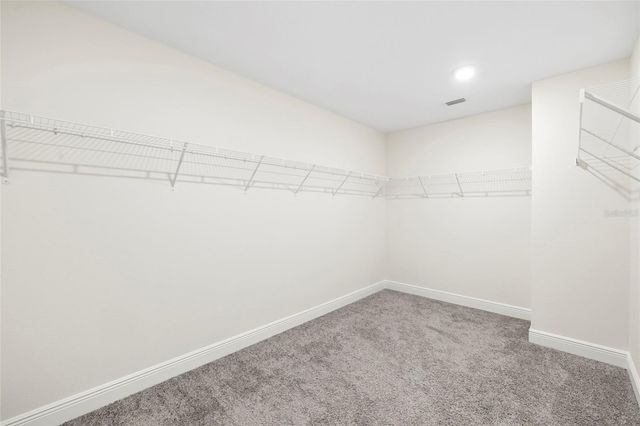 11641 SWEET TANGERINE LANE, Tampa, FL 33626