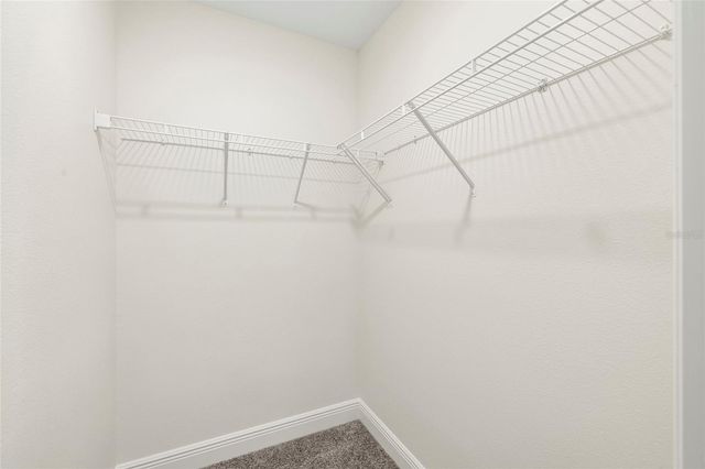 11641 SWEET TANGERINE LANE, Tampa, FL 33626