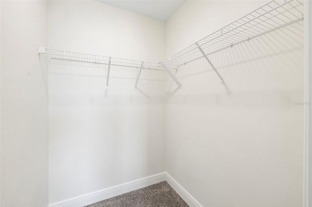 11641 SWEET TANGERINE LANE, Tampa, FL 33626