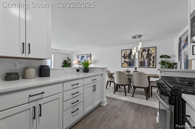 411 S Old Woodward Avenue 924, Birmingham, MI 48009