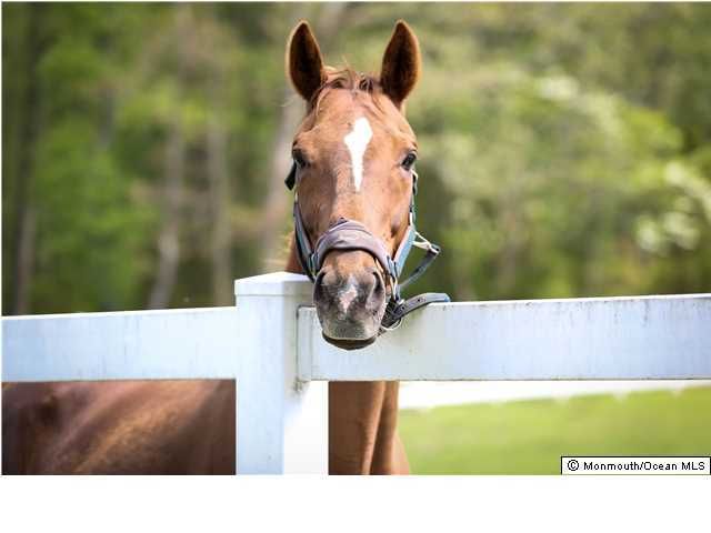 24 Squankum Road, Colts Neck, NJ 07722