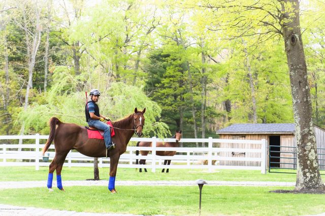 24 Squankum Road, Colts Neck, NJ 07722