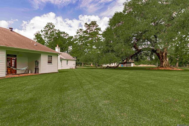 13677 Patin Dyke Rd, Ventress, LA 70783