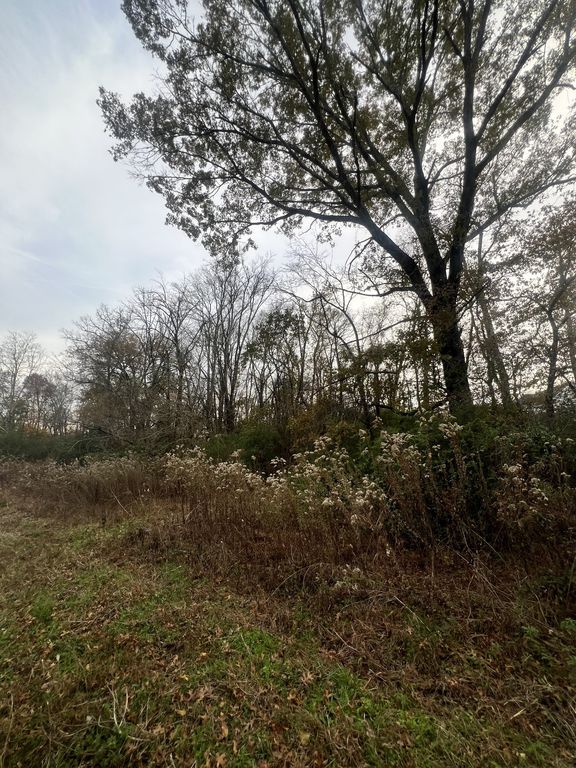 0 Baker Road, Columbia, TN 38401