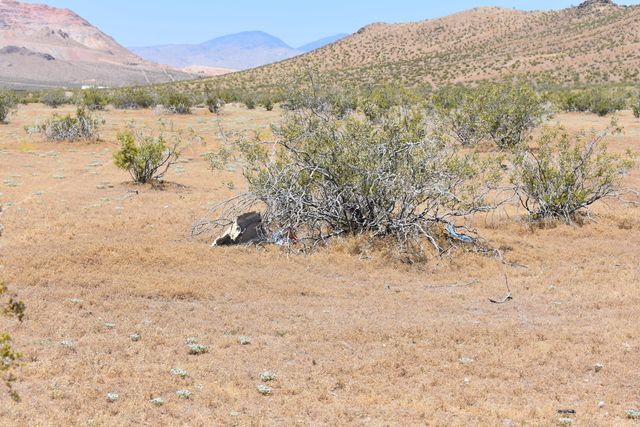 201 E Laguna Ave, Mojave, CA 93501