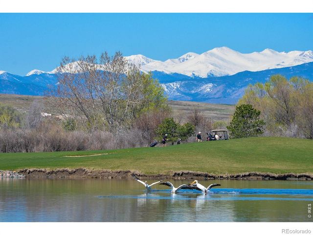 1755 Barefoot Drive, Windsor, CO 80550