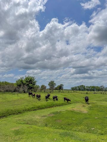 11810 Zamanek Road, Needville, TX 77461