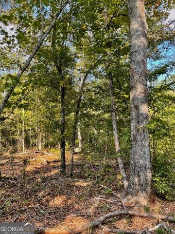 0 Highway 36 E, Jackson, GA 30233