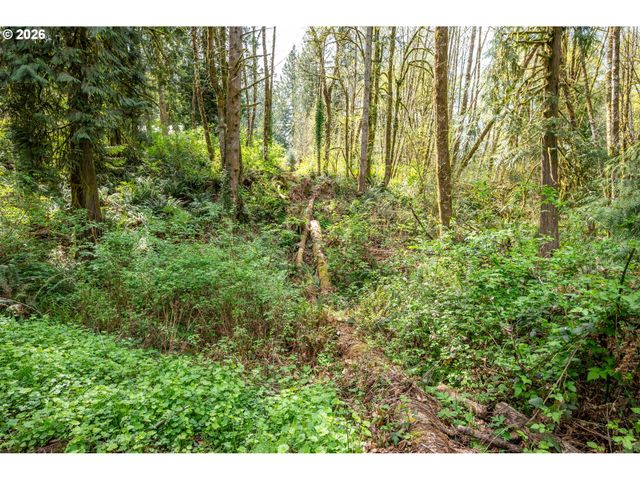 976 SANDY BEND Rd, Castle Rock, WA 98611