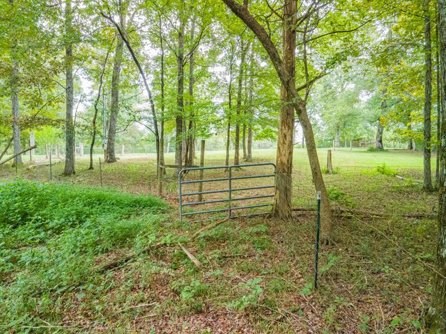 1520 Powell Ln, Lewisburg, TN 37091