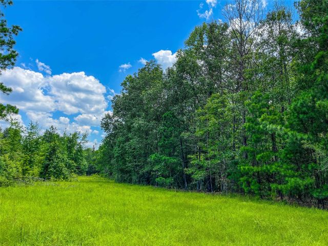 0000 County Road 3610, Woodville, TX 75979