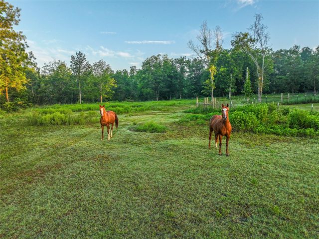 0000 County Road 3610, Woodville, TX 75979