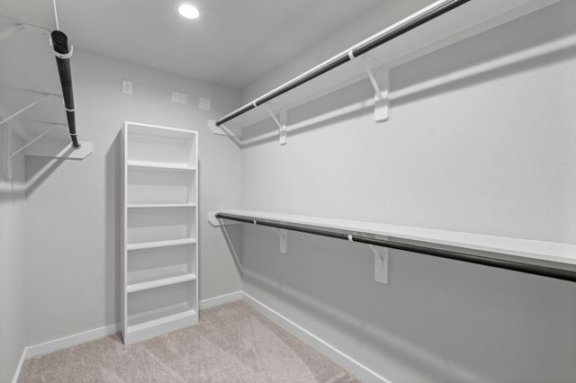 69 Shining Point Drive, Waller, TX 77484