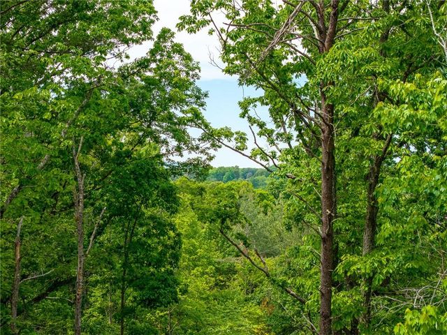 148 Virginia Drive, Blue Ridge, GA 30513