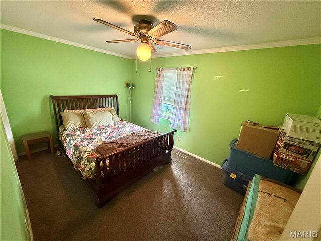 610 Walter Street, Farmington, MO 63640