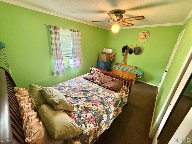 610 Walter Street, Farmington, MO 63640