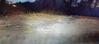 TBD1 Red Bluff Rd., Loris, SC 29569