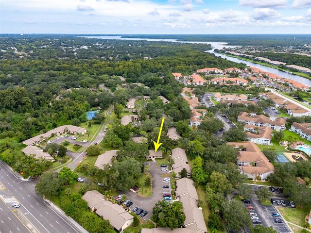 2925 BOXWOOD CT, Palm Harbor, FL 34684