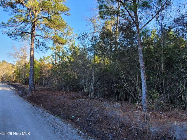 Lot 2 Auburn Drive, Loris, SC 29569
