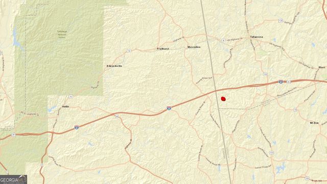 0 Turkey Court LOT 42 & 46, Waco, GA 30182