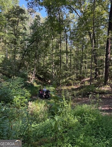 0 Turkey Court LOT 42 & 46, Waco, GA 30182