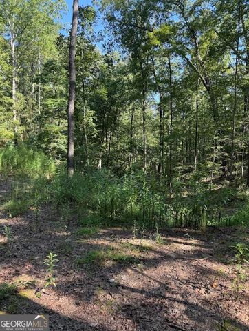 0 Turkey Court LOT 42 & 46, Waco, GA 30182