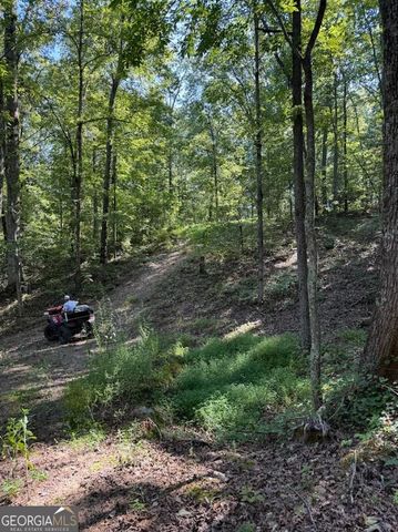 0 Turkey Court LOT 42 & 46, Waco, GA 30182