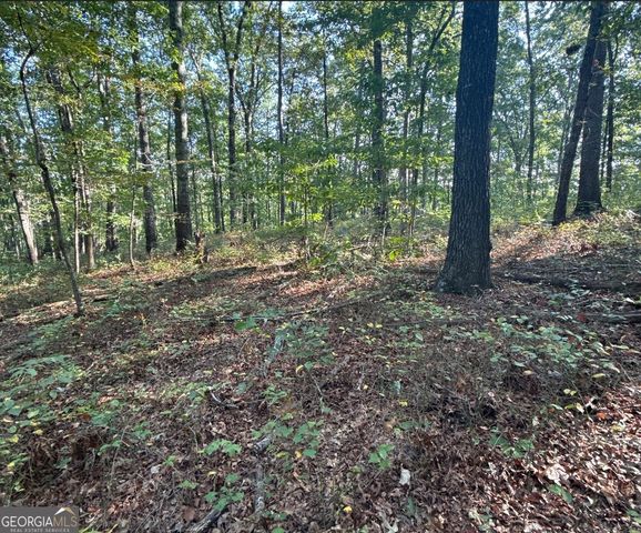 0 Turkey Court LOT 42 & 46, Waco, GA 30182