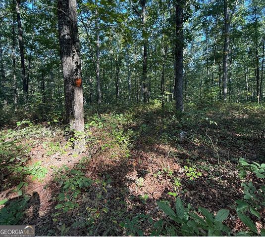 0 Turkey Court LOT 42 & 46, Waco, GA 30182