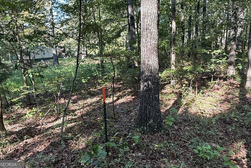 0 Turkey Court LOT 42 & 46, Waco, GA 30182