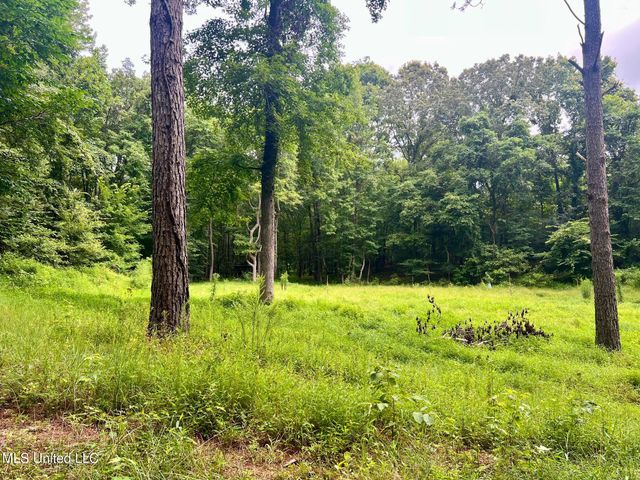 3007 Wilkins Chapel Road, Holly Springs, MS 38635
