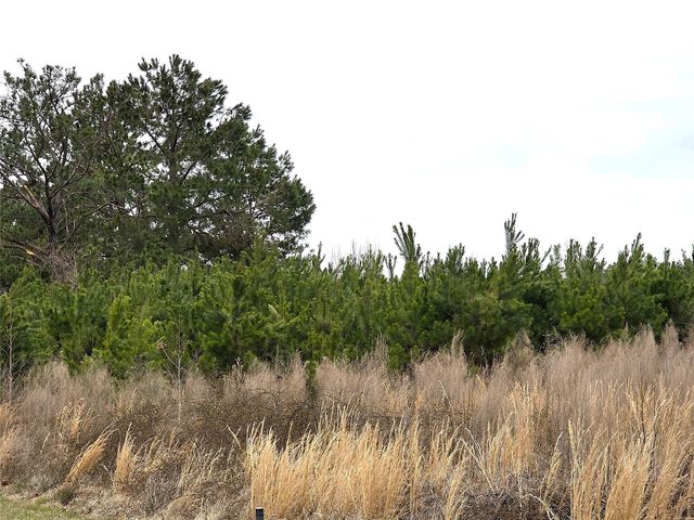 3049 Hwy 507, Coushatta, LA 71019
