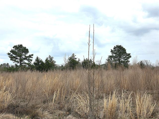 3049 Hwy 507, Coushatta, LA 71019