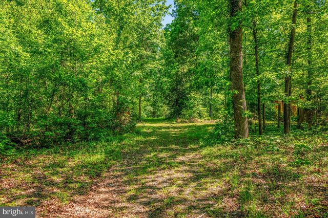 279 POPLAR RD, Fredericksburg, VA 22406