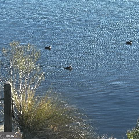 52 River View Court, Waverly, GA 31565