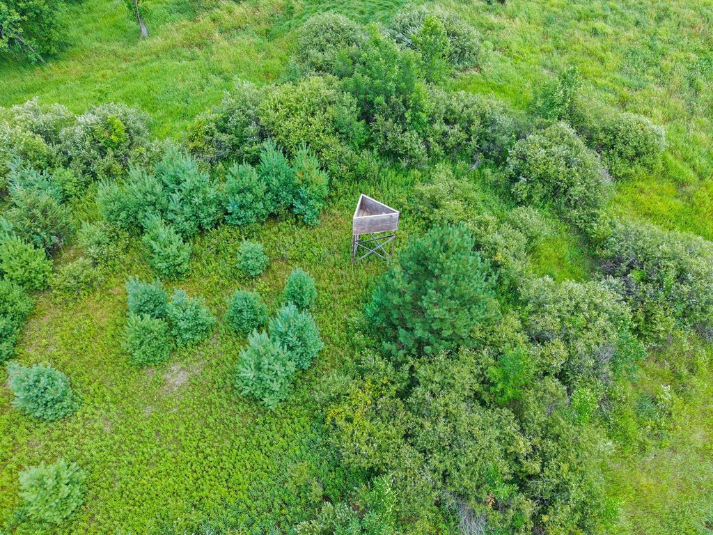 Lot 1 321st Avenue NW, Princeton, MN 55371 — photo 2
