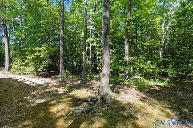 8102 Gates Bluff Pl, Chesterfield, VA 23832