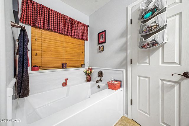1309 E DAISY Way, San Tan Valley, AZ 85143