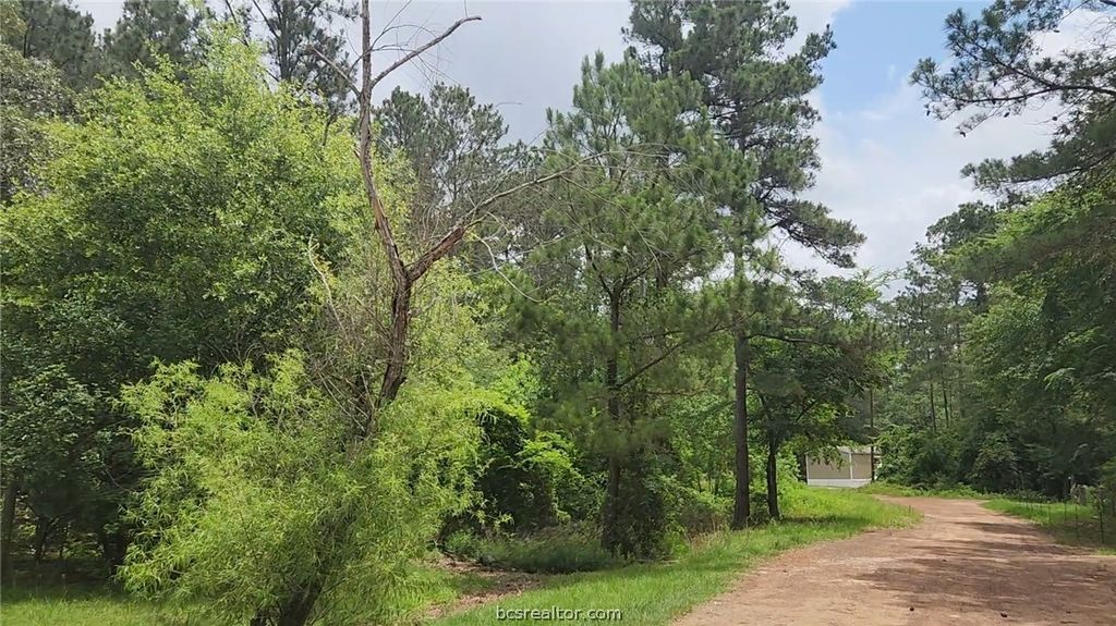 Lot 14 Basswood Lane, Plantersville, TX 77363 — photo 2