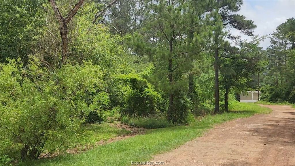 Lot 14 Basswood Lane, Plantersville, TX 77363 — photo 3