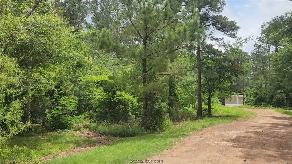 Lot 14 Basswood Lane, Plantersville, TX 77363 — photo 4