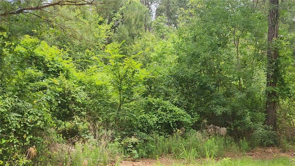 Lot 14 Basswood Lane, Plantersville, TX 77363 — photo 5
