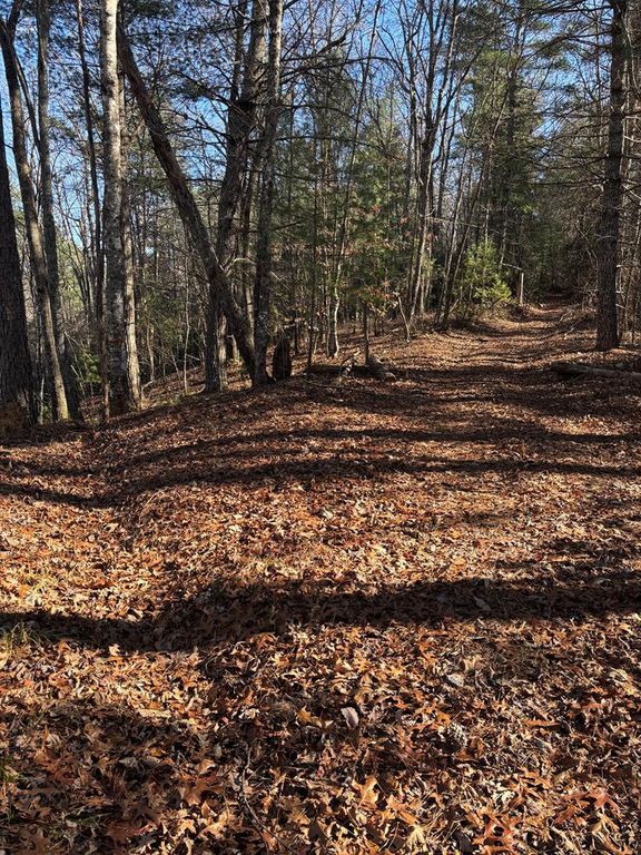 Lot 60 Thundering Hill, Murphy, NC 28906