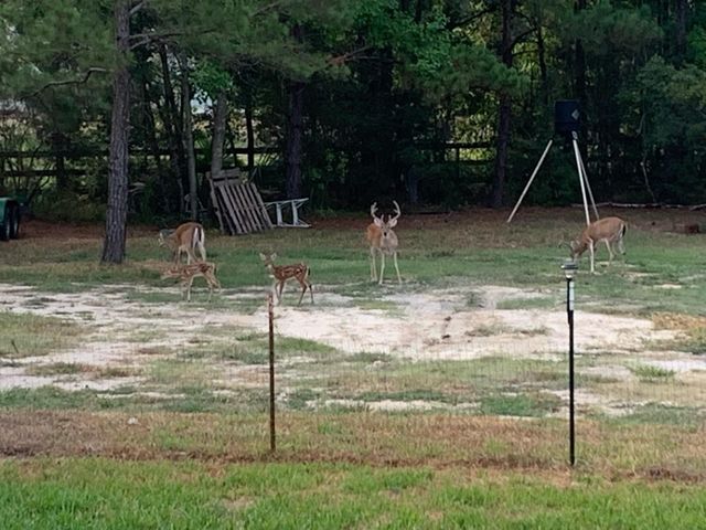 10366 Happy Trail, Conroe, TX 77384