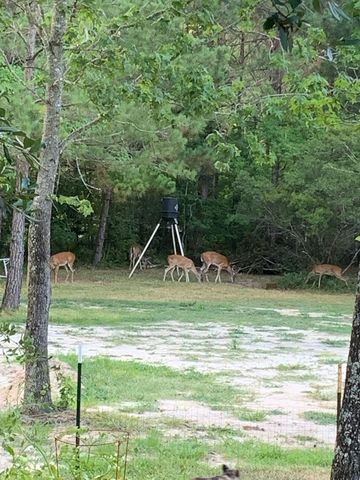 10366 Happy Trail, Conroe, TX 77384