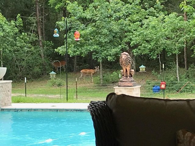 10366 Happy Trail, Conroe, TX 77384