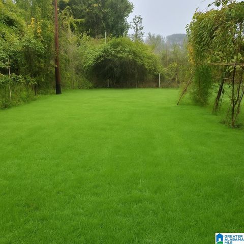 2420 HAMPSTEAD DRIVE, Birmingham, AL 35235